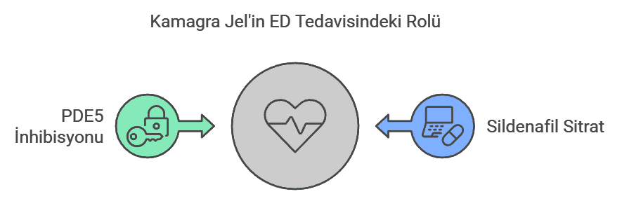 Kamagra Jel'in ED Tedavisindeki Rolü